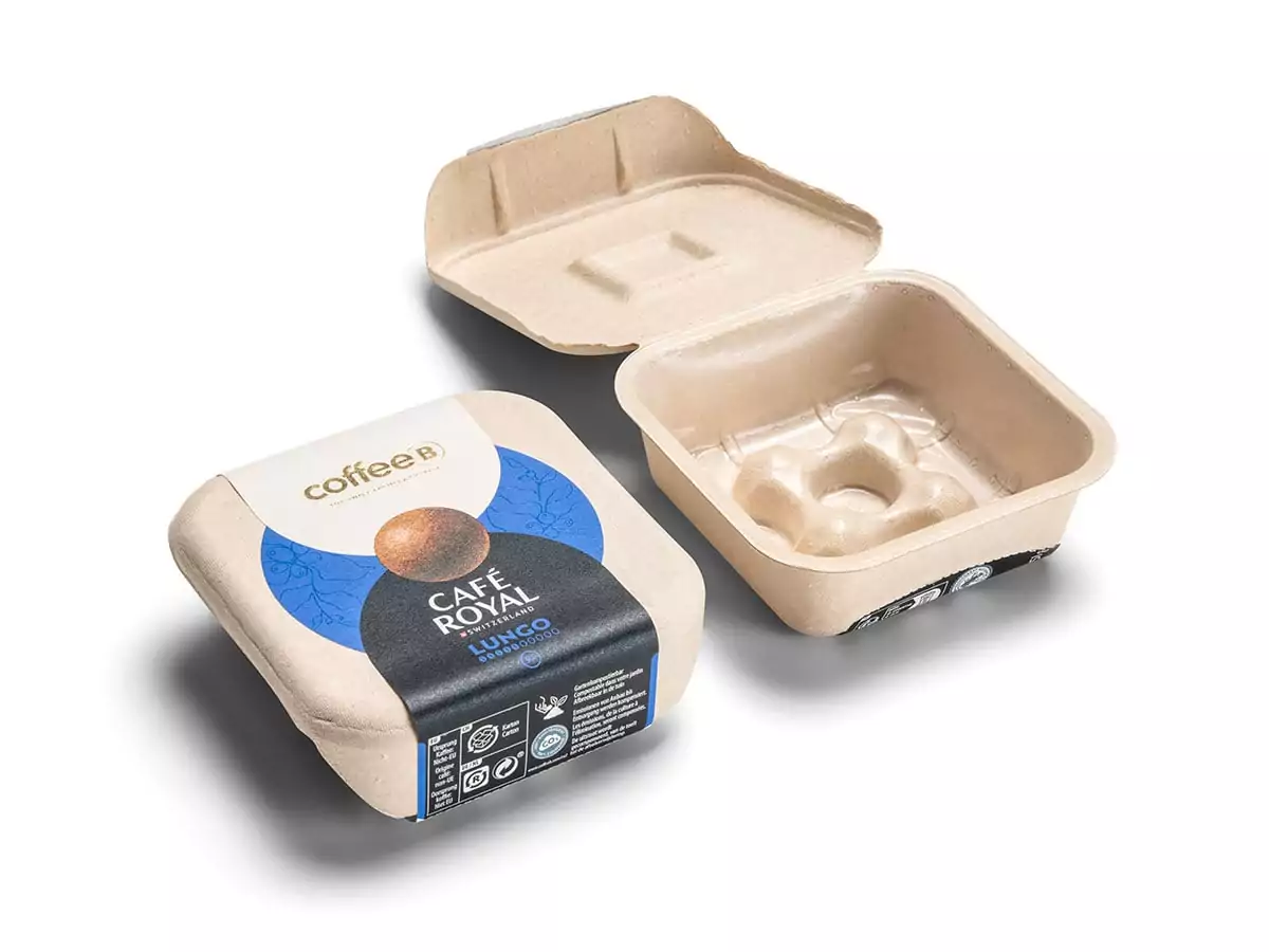 paper pulp packaging