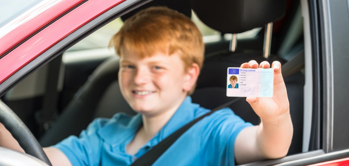 zentrales fahrerlaubnisregister