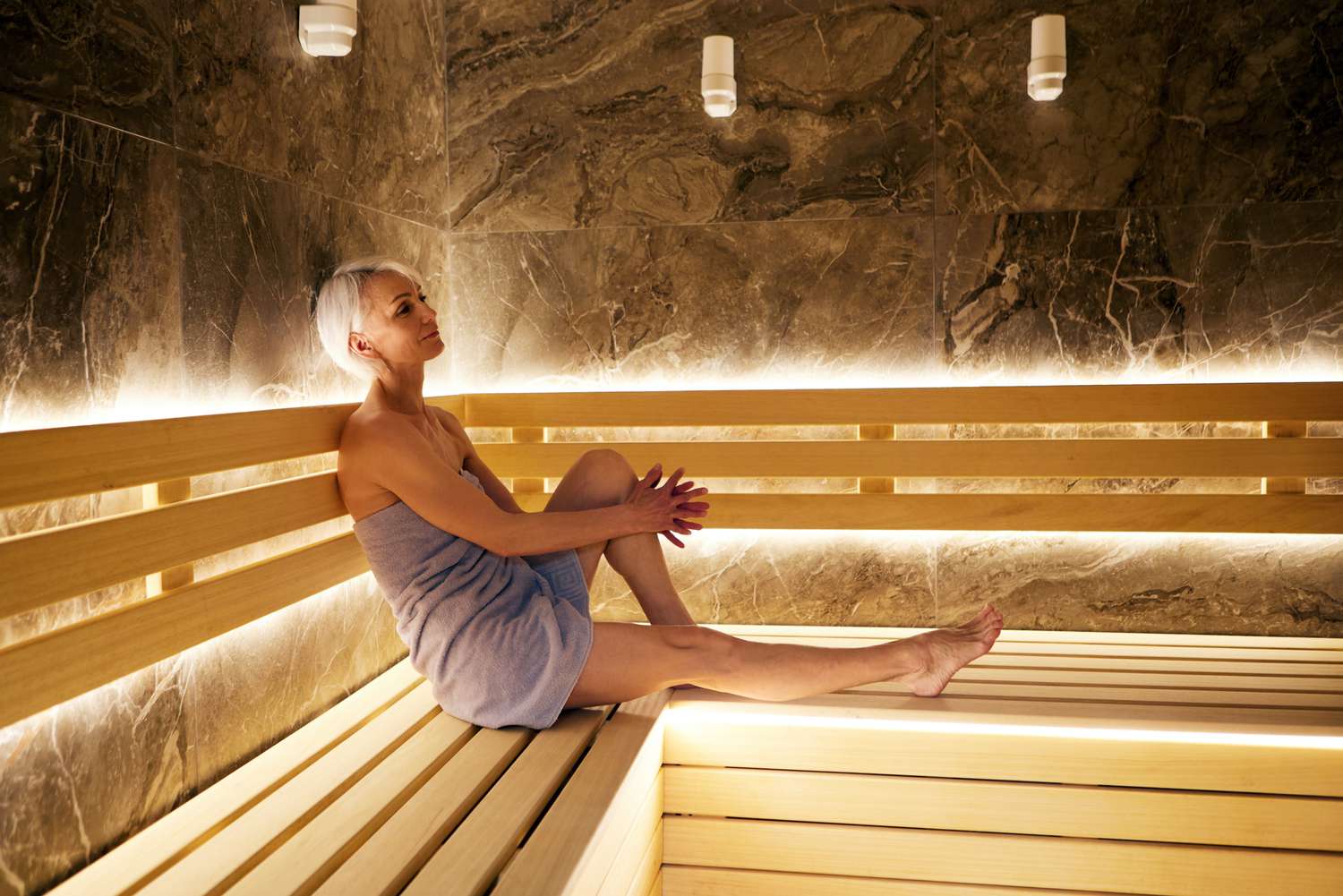 steam sauna heaters