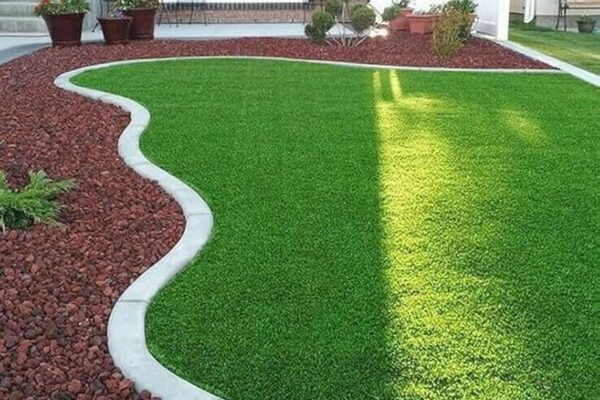 Buy Native Turf Seeds for a Greener Lawn That Needs Less Upkeep