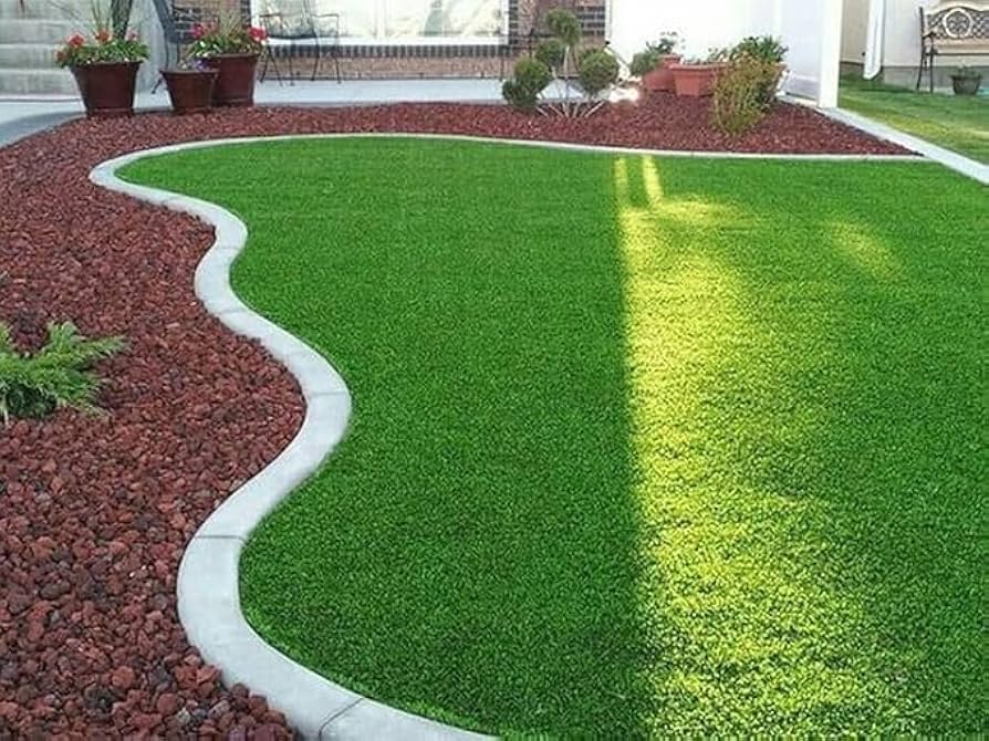 Buy Native Turf Seeds for a Greener Lawn That Needs Less Upkeep